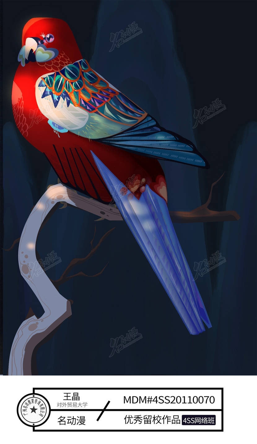 红鹦鹉插画图片壁纸
